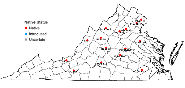 Locations ofCarex buxbaumii Wahlenb. in Virginia