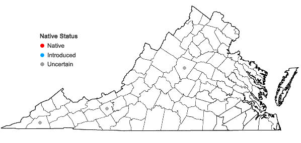 Locations ofCarex cherokeensis Schweinitz in Virginia