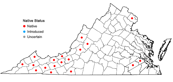 Locations ofCarex copulata (L.H. Bailey) Mackenzie in Virginia