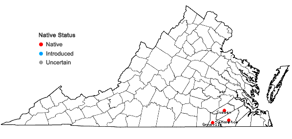 Locations ofCarex crus-corvi Shuttw. in Virginia