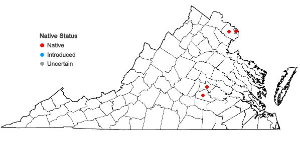 Locations ofCarex davisii Schw. & Torrey in Virginia