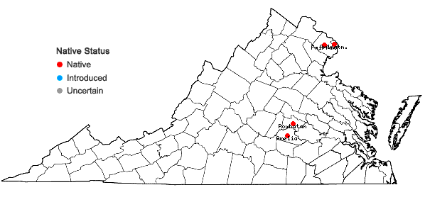 Locations ofCarex davisii Schw. & Torrey in Virginia