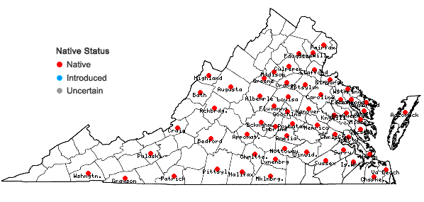 Locations ofCarex festucacea Schk. ex Willd. in Virginia