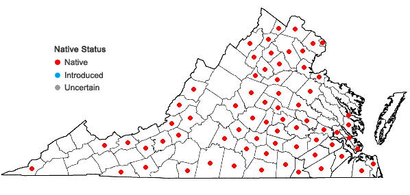 Locations ofCarex flaccosperma complex in Virginia