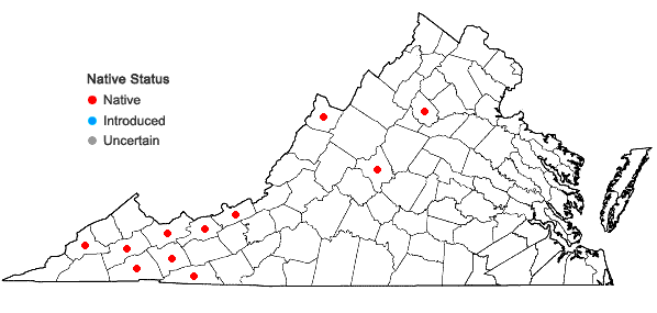 Locations ofCarex leptonervia (Fernald) Fernald in Virginia