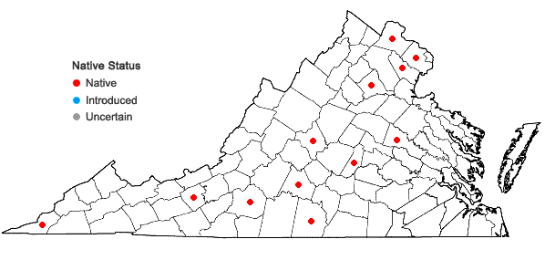 Locations ofCarex meadii Dewey in Virginia