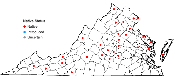 Locations ofCarex mesochorea Mackenzie in Virginia