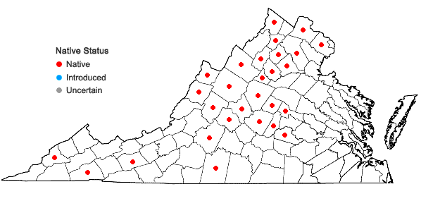 Locations ofCarex molestiformis Rezn. & P. Rothr. in Virginia