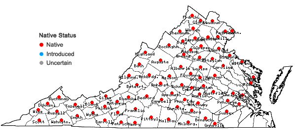 Locations ofCarex prasina Wahlenb. in Virginia