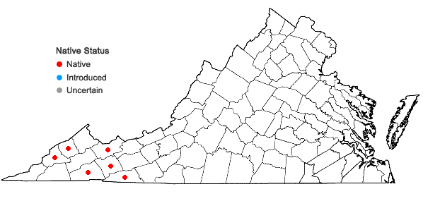 Locations ofCarex ruthii Mackenzie in Britton in Virginia