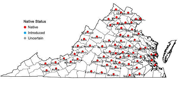Locations ofCarex squarrosa L. in Virginia