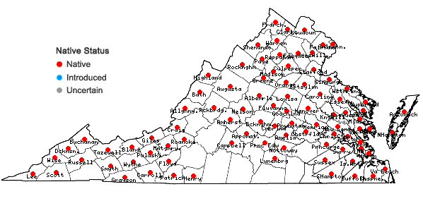 Locations ofCarex swanii (Fernald) Mackenzie in Virginia