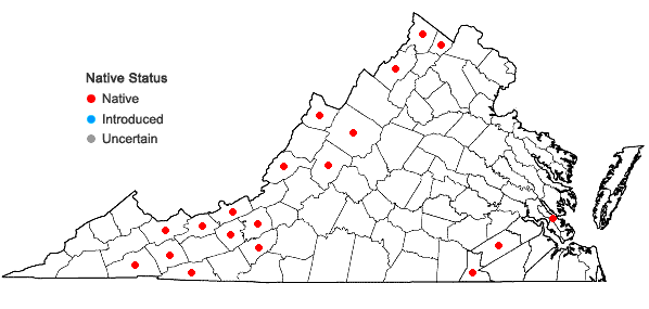 Locations ofCarex tetanica Schkuhr in Virginia