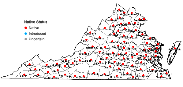 Locations ofCarex tribuloides Wahlenb. var. tribuloides in Virginia