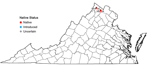 Locations ofCarex utriculata Boott in Virginia
