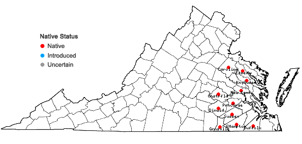 Locations ofCarex venusta Dewey var. venusta in Virginia