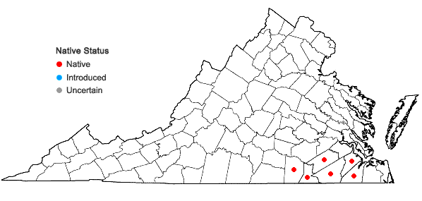 Locations ofCarphephorus bellidifolius (Michx.) Torr. & Gray in Virginia