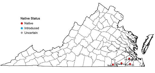 Locations ofCarphephorus tomentosus (Michx.) Torr. & Gray in Virginia