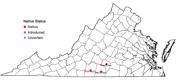Locations ofCarya carolinae-septentrionalis (Ashe) Engl. & Graebn. in Virginia