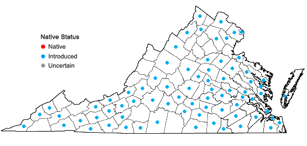 Locations ofCatalpa speciosa (Warder) Warder ex Engelm. in Virginia