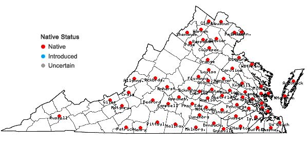 Locations ofCeltis laevigata Willd. in Virginia