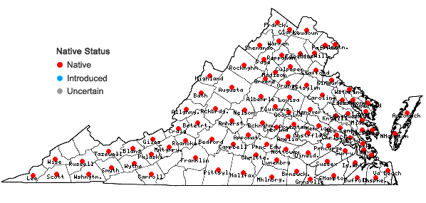 Locations ofCeltis occidentalis L. in Virginia