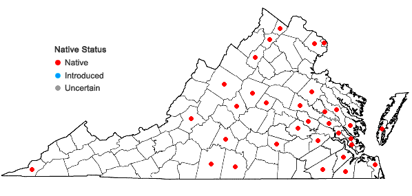 Locations ofCenchrus longispinus (Hack.) Fern. in Virginia