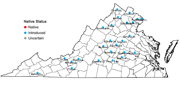 Locations ofCentaurea nigrescens Willd. in Virginia