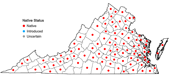 Locations ofCephalanthus occidentalis L. in Virginia