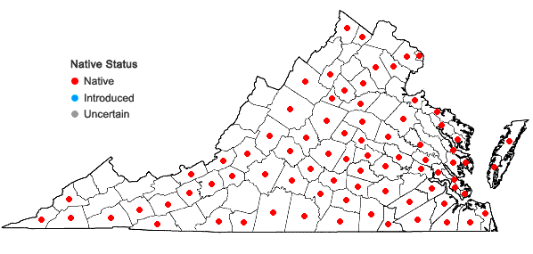 Locations ofChaerophyllum tainturieri Hook. in Virginia