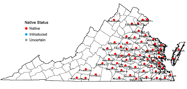 Locations ofChasmanthium laxum (L.) Yates in Virginia