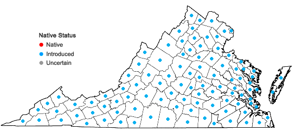 Locations ofChenopodium album L. in Virginia