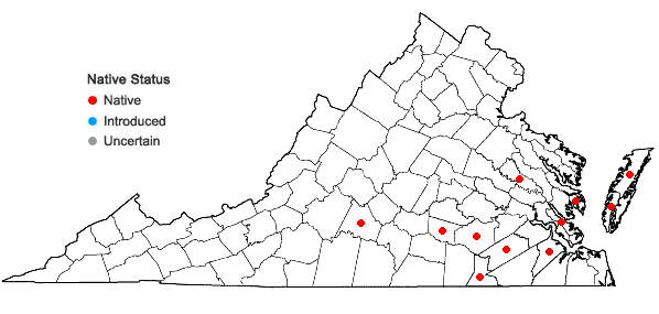 Locations ofChenopodium berlandieri Moq. in Virginia