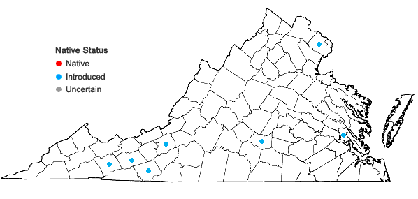 Locations ofChenopodium murale L. in Virginia