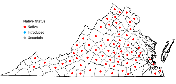 Locations ofChrysogonum virginianum L. in Virginia