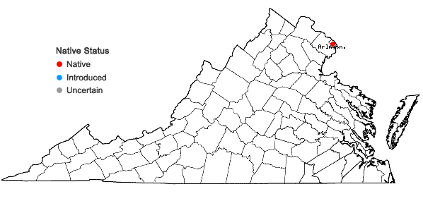 Locations ofCicuta bulbifera L. in Virginia