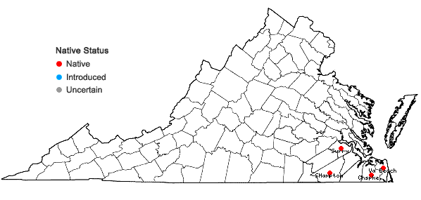 Locations ofCicuta maculata L. var. curtisii (Coult. & Rose) Fern. in Virginia