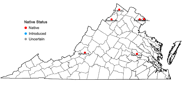 Locations ofCirsium altissimum (L.) Hill in Virginia