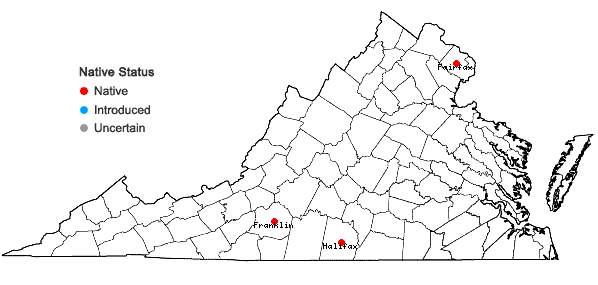 Locations ofCirsium carolinianum (Walt.) Fern. & Schub. in Virginia