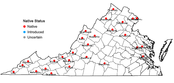 Locations ofCirsium muticum Michx. in Virginia