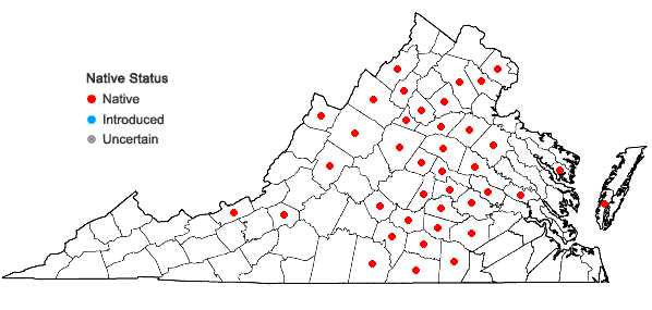 Locations ofCirsium pumilum (Nutt.) Spreng. in Virginia