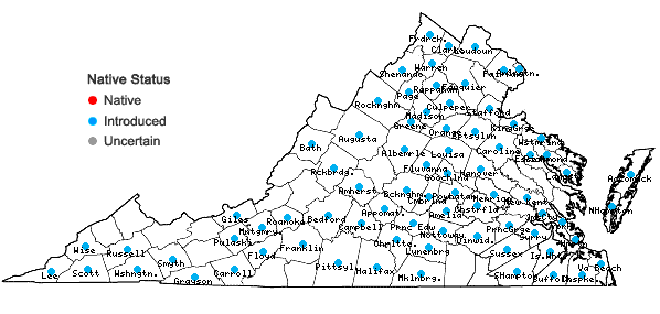 Locations ofCirsium vulgare (Savi) Ten. in Virginia