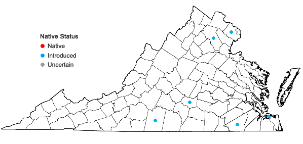 Locations ofCitrullus lanatus (Thunb.) Matsumura & Nakai in Virginia