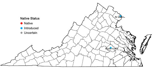 Locations ofClaytonia rubra (T.J. Howell) Tidestrom ssp. rubra in Virginia