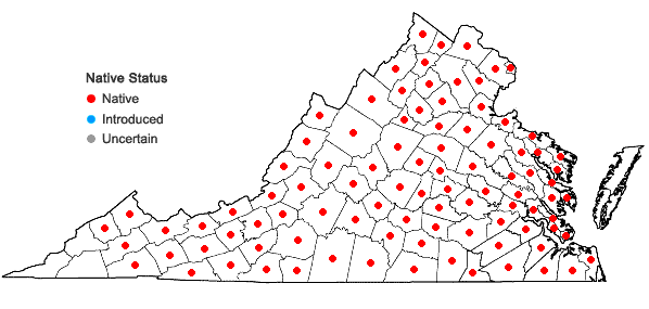 Locations ofClaytonia virginica L. var. virginiana in Virginia