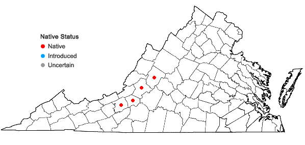 Locations ofClematis addisonii Britt. in Virginia