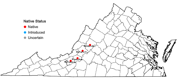 Locations ofClematis addisonii Britt. in Virginia