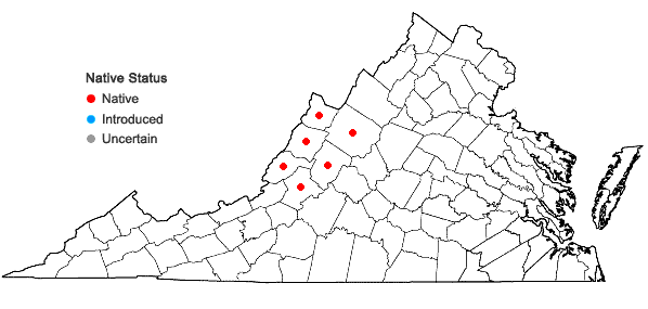 Locations ofClematis albicoma Wherry in Virginia