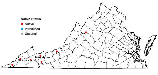Locations ofClematis catesbyana Pursh in Virginia