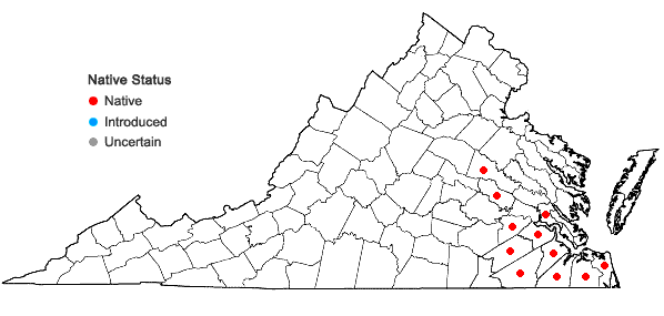 Locations ofClematis crispa L. in Virginia